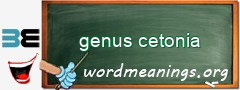 WordMeaning blackboard for genus cetonia